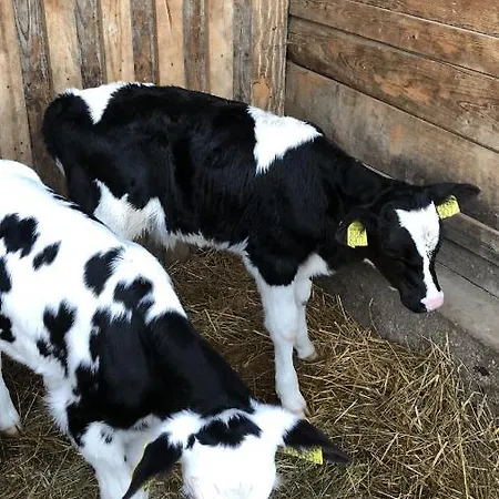 Nyerges Lovasudvar Cserépfalu